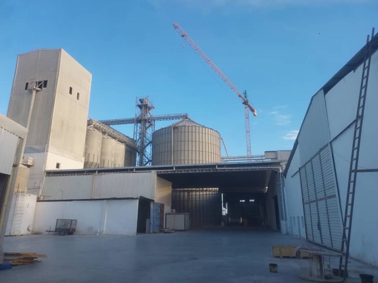 photo 2025 11 26 19 25 27