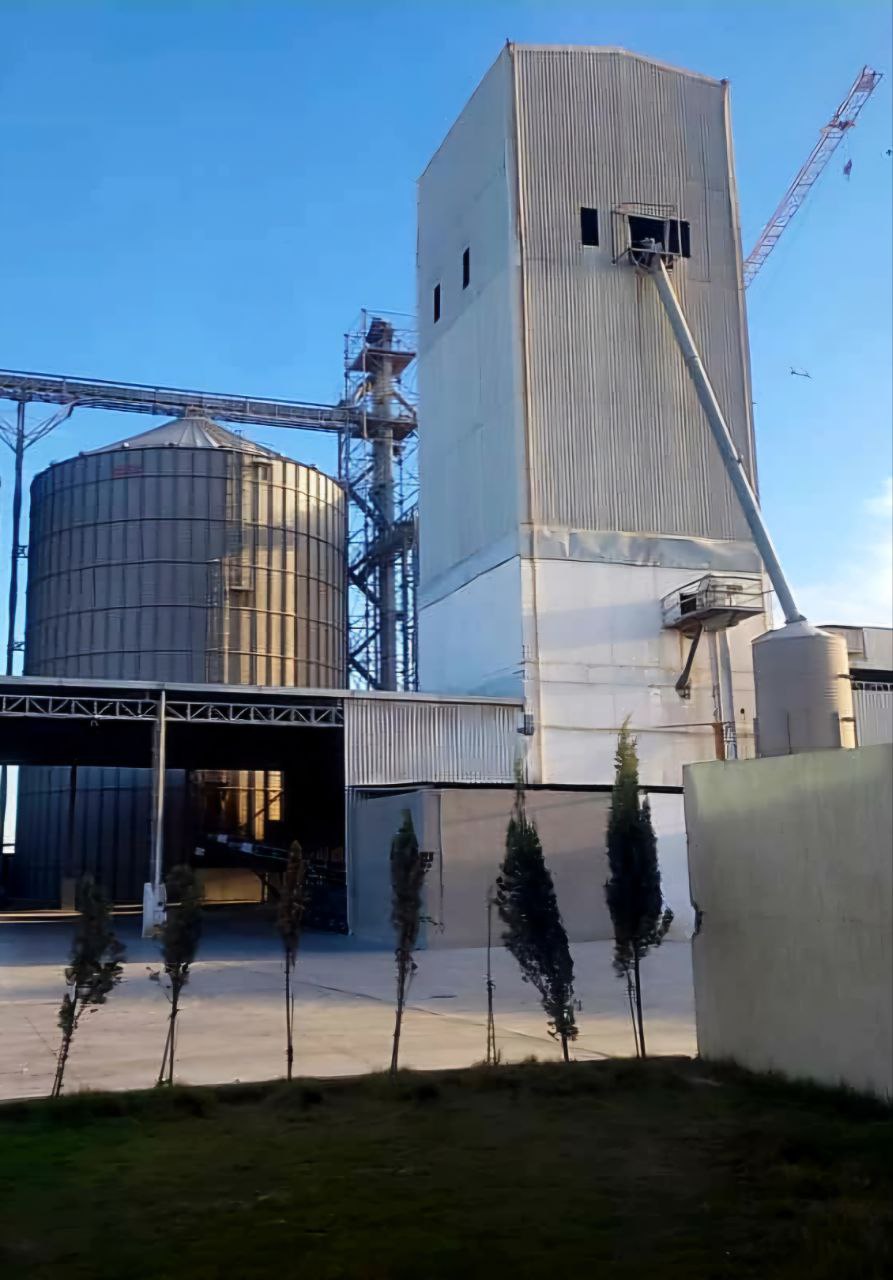 photo 2025 11 26 19 19 18