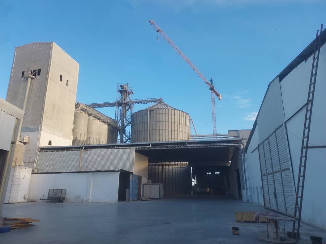 photo 2025 11 26 19 25 27