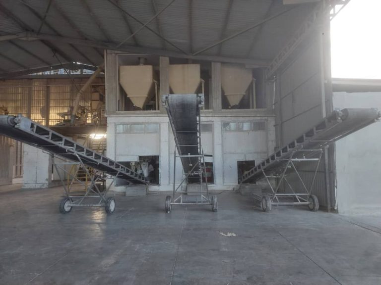 photo 2025 11 26 19 27 27