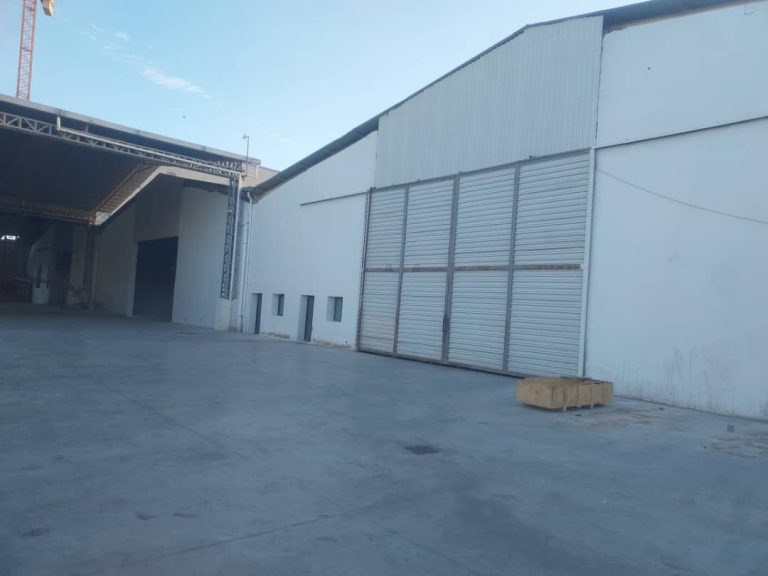 photo 2025 11 26 19 28 04