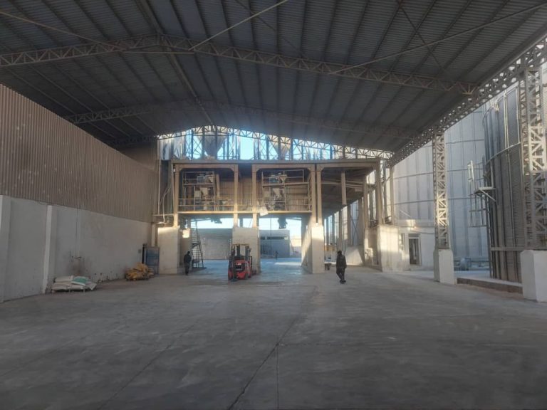 photo 2025 11 26 22 01 17